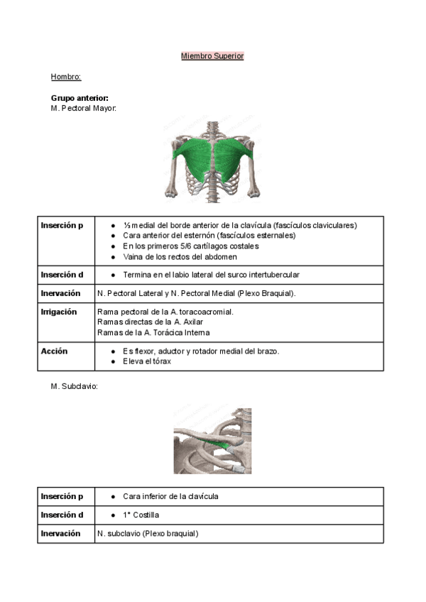 Miniatura del documento Musculos-del-Miembro-Superior.pdf
