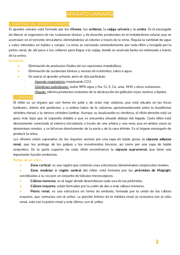 Miniatura del documento APARATO-URINARIO.pdf