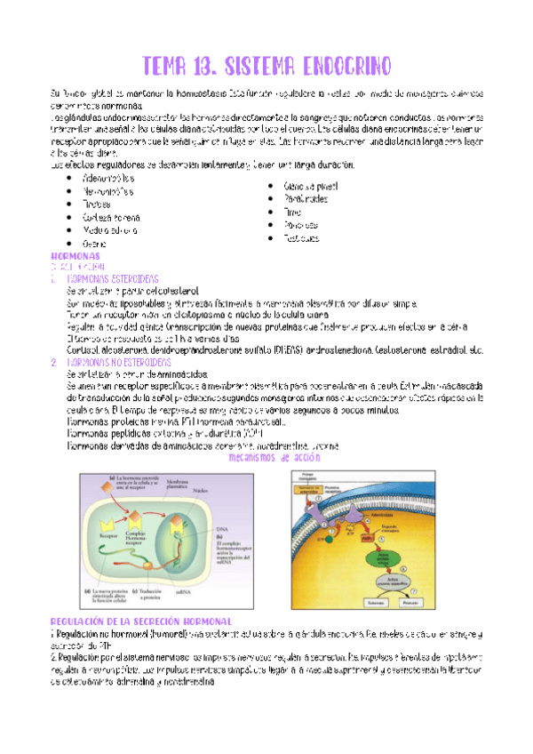Miniatura del documento TEMA-13.pdf