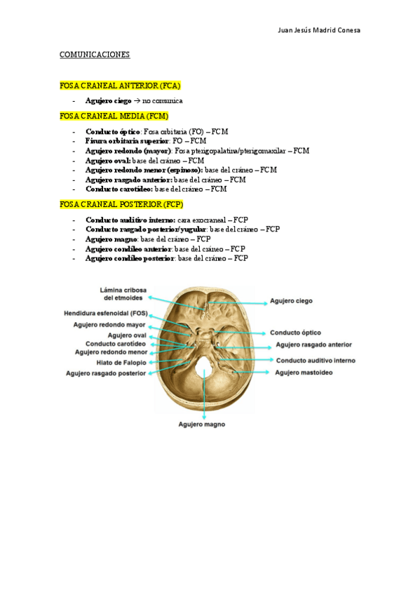 Miniatura del documento Craneo-Agujeros-y-comunicaciones.pdf