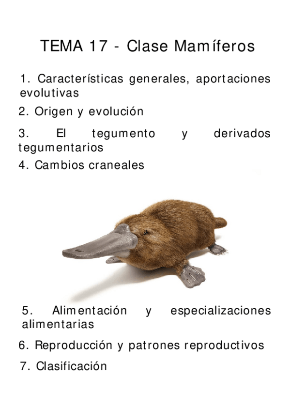Miniatura del documento Teoria-Tema-17-Clase-Mamiferos.pdf