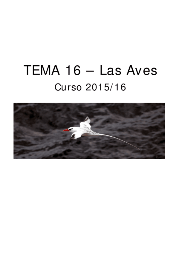 Miniatura del documento Teoria-Tema-16-Las-Aves.pdf