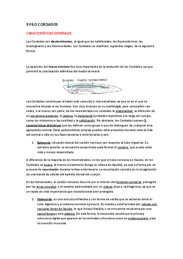 Miniatura del documento TEMA-9.pdf