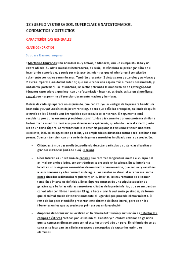 Miniatura del documento TEMA-13.pdf