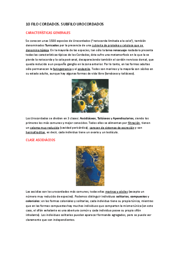 Miniatura del documento TEMA-10.pdf