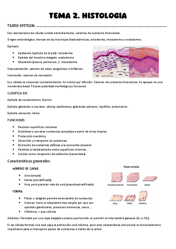 Miniatura del documento Tema-2.-Histologia.pdf