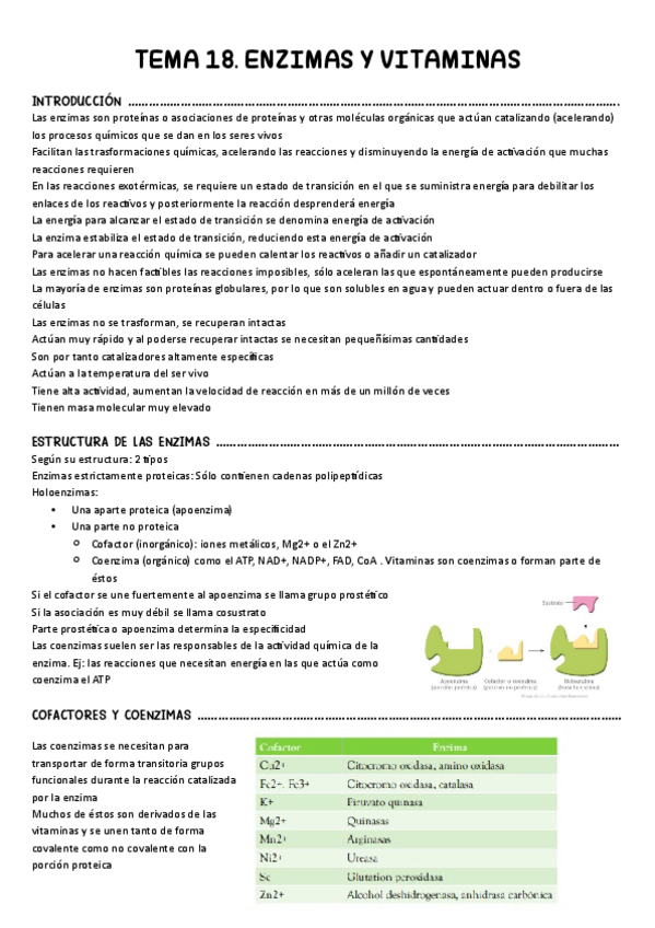 Miniatura del documento Tema-18.-Enzimas-y-vitaminas.pdf