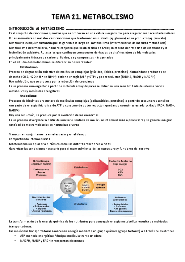 Miniatura del documento TEMA-21.-Metabolismo.pdf