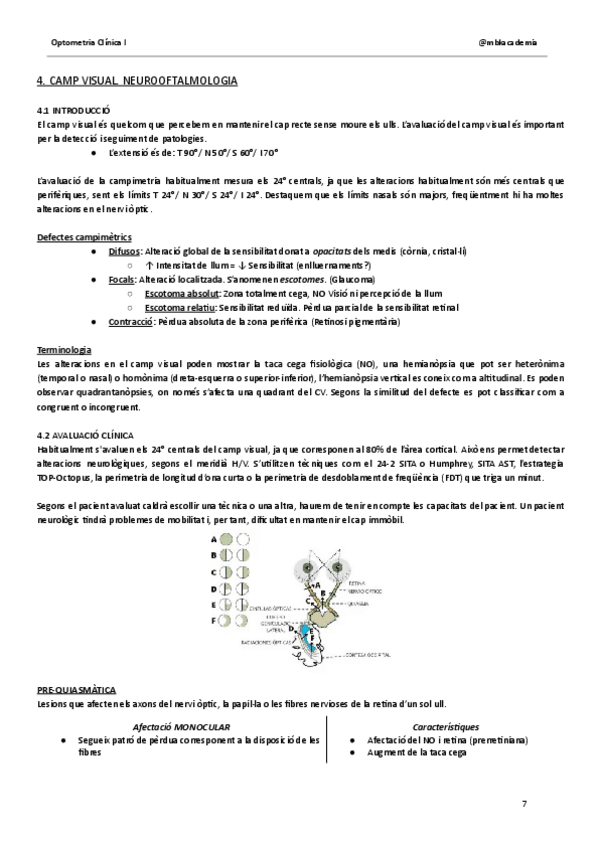 Miniatura del documento NEUROOFTALMOLOGIA.-OC1.pdf