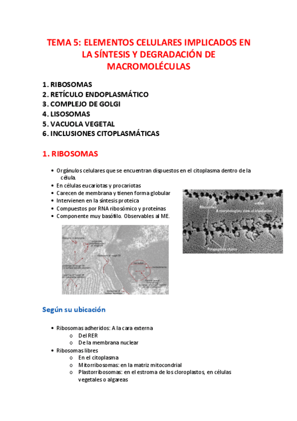 Miniatura del documento citologia-t.5.pdf