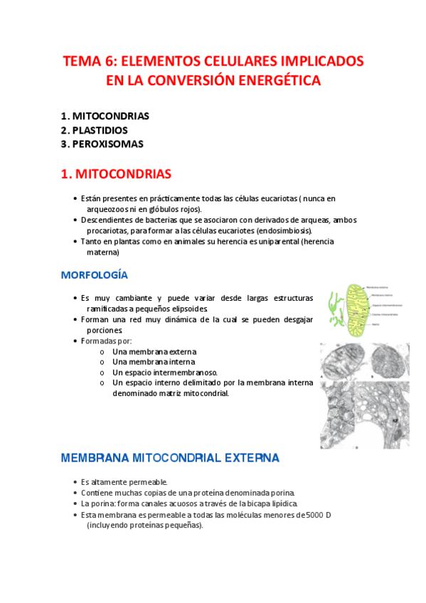 Miniatura del documento citologia-t.6.pdf