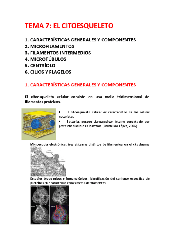 Miniatura del documento citologia-t.7.pdf