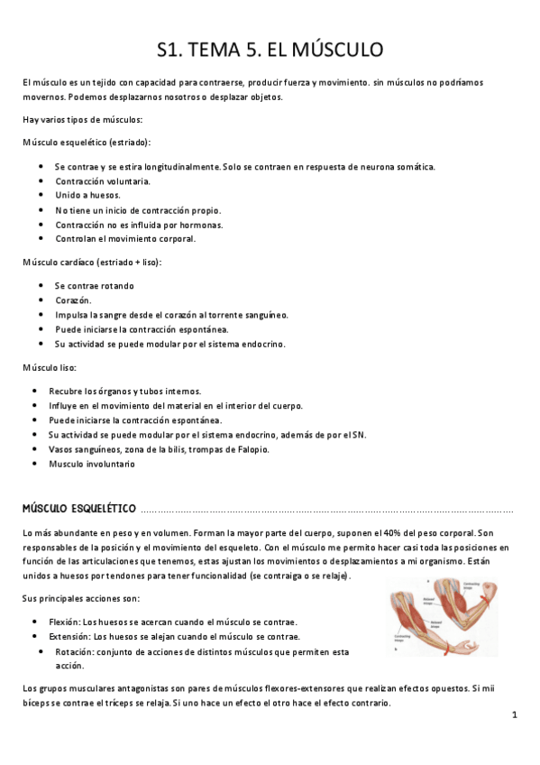 Miniatura del documento S1.-Tema-5.-El-musculo.pdf