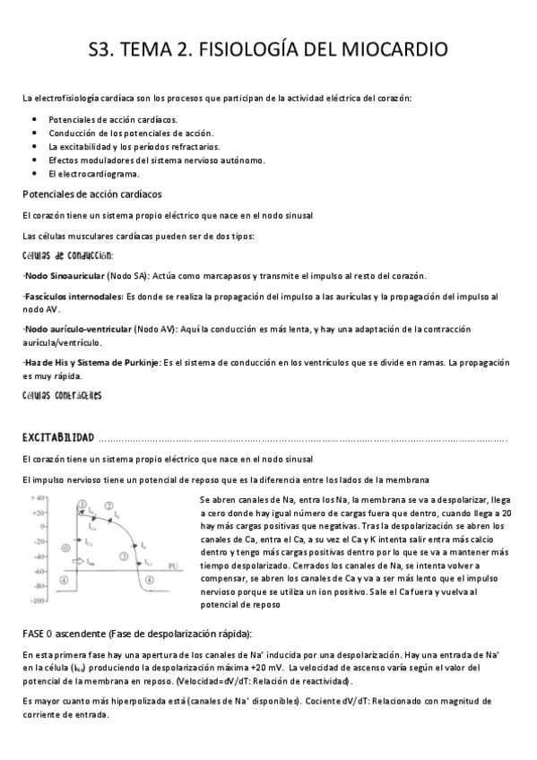 Miniatura del documento S3.-Tema-2.-Fisiologia-del-miocardio.pdf