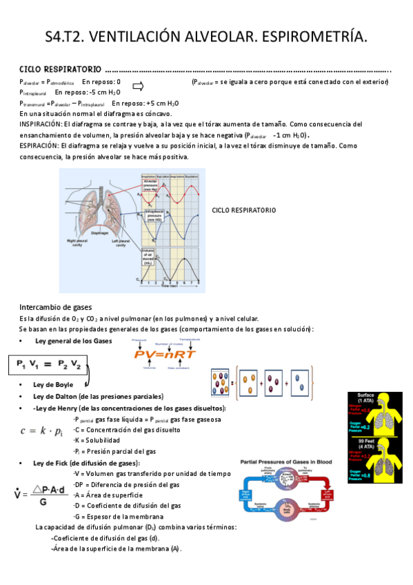 Miniatura del documento S4.-Tema-2.-Ventilacion-alveolar.-difucion.-espirometria.pdf