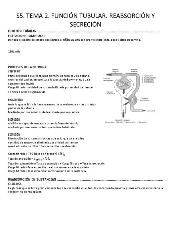 Miniatura del documento S5.-Tema-2.-Funcion-tubular-reabsorcion-y-secrecion.pdf