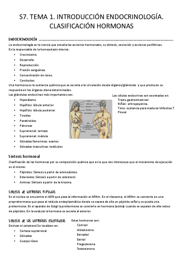 Miniatura del documento S7.-Tema-1.-Indroduccion-endocrinologia.pdf