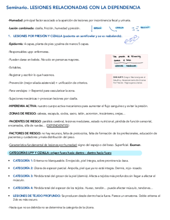 Miniatura del documento Seminario 3 geriatria.pdf