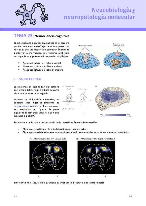 Miniatura del documento Tema-23-Neurociencia-cognitiva.pdf
