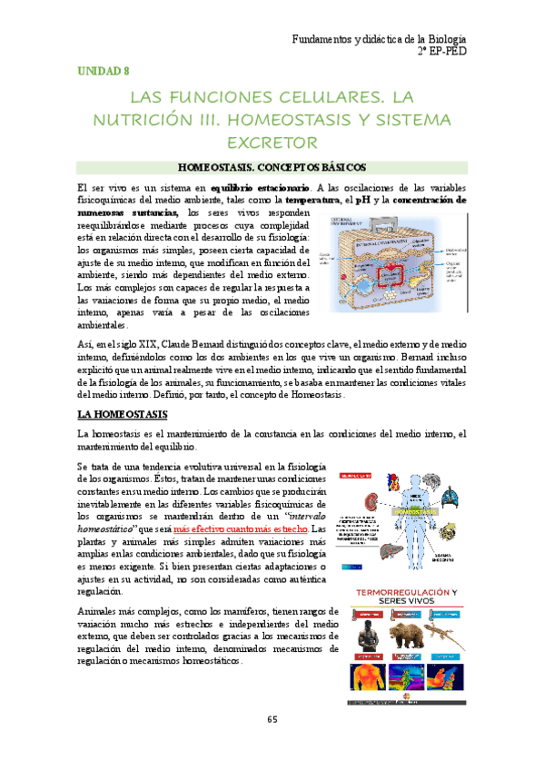 Miniatura del documento unidad-8-bio.pdf