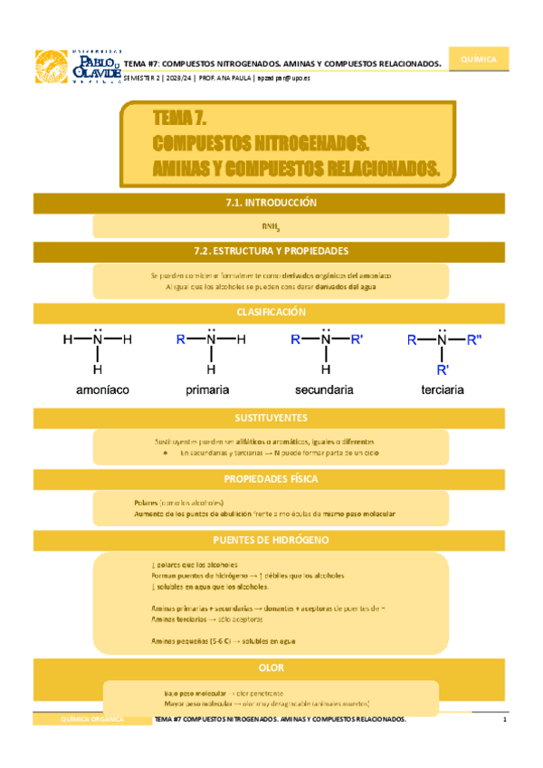 Miniatura del documento Tema-7.-Compuestos-nitrogenados.-Aminas-y-compuestos-relacionados.-1.pdf