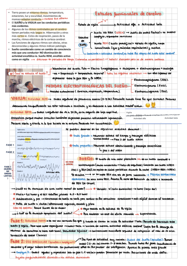 Miniatura del documento TEMA-4-fisio.pdf