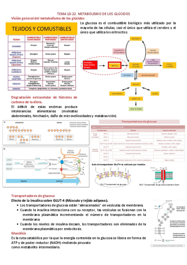 Miniatura del documento TEMAS-18-22.pdf