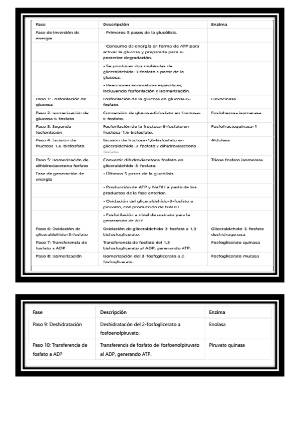 Miniatura del documento Glucolisis.pdf