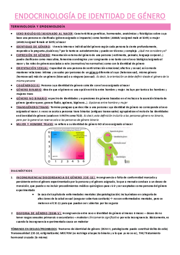 Miniatura del documento endocrinologia-de-identidad-de-genero.pdf