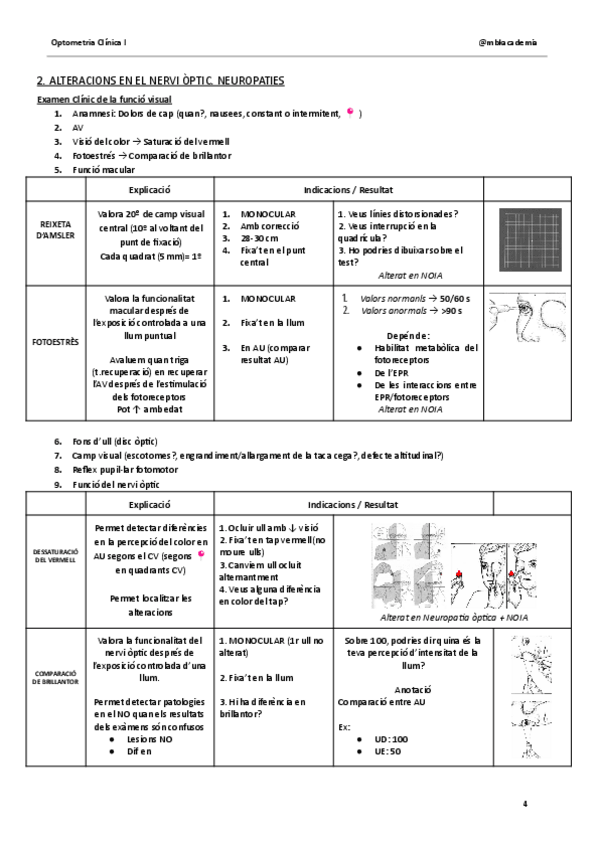 Miniatura del documento NEUROPATIA-OPTICA.OC1.pdf