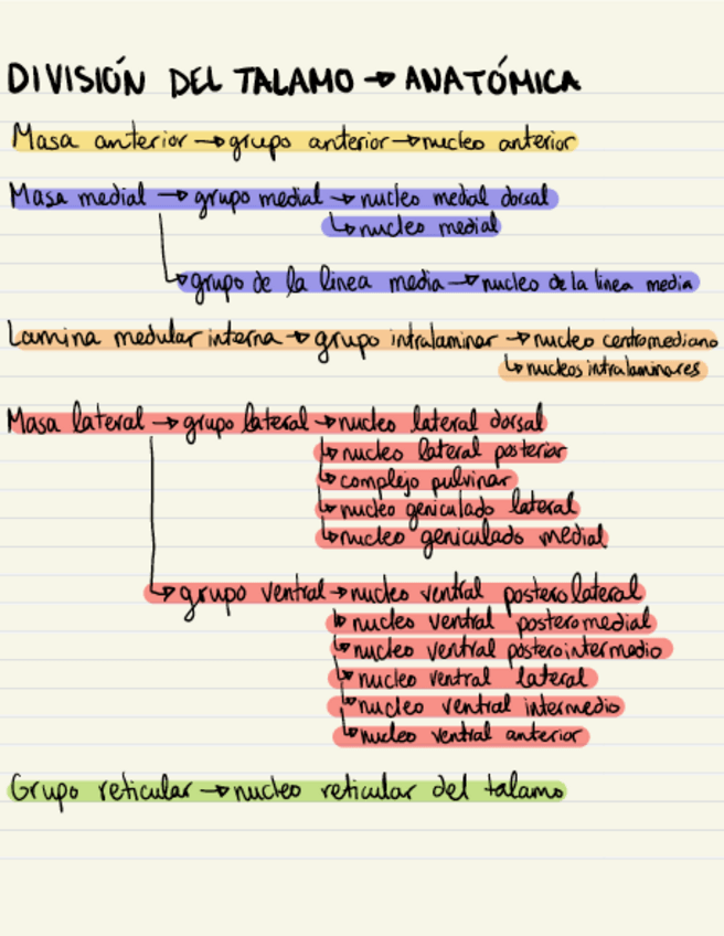 Miniatura del documento Esquemas T6 neuro.pdf