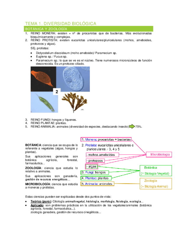Miniatura del documento TEMA-1.-DIVERSIDAD-BIOLOGICA-resumen.pdf