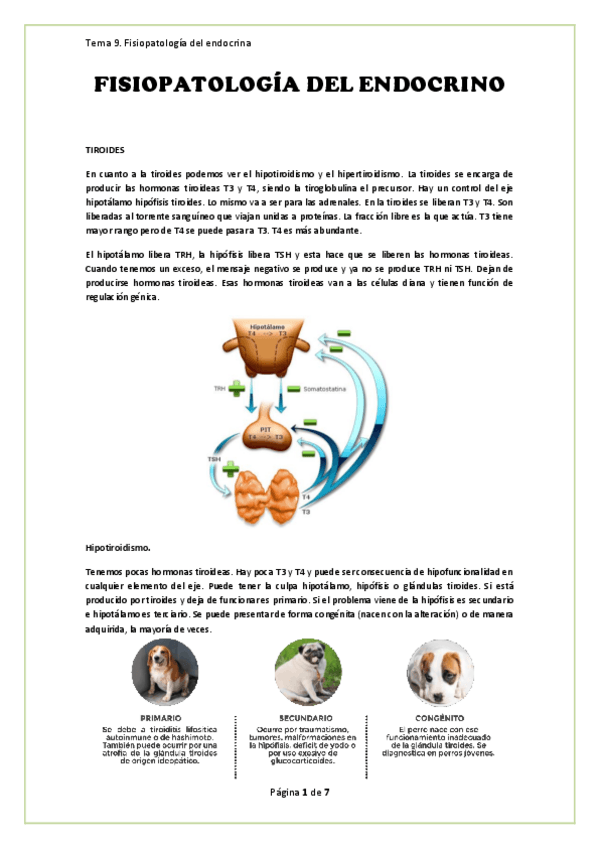 Miniatura del documento Apuntes.-Fisiopatologia-del-endocrino.pdf