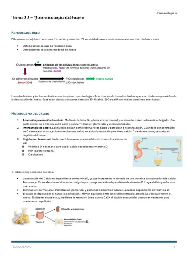 Miniatura del documento T22-farm3.pdf