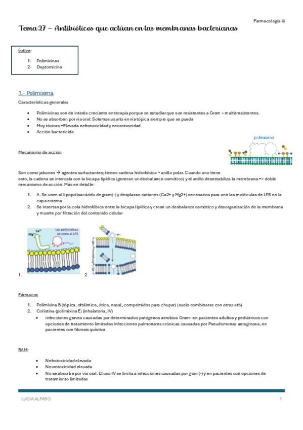 Miniatura del documento T27-farm-iii.pdf