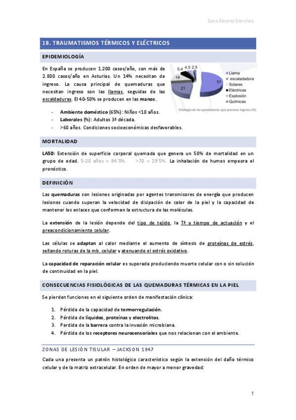 Miniatura del documento TEMA-18.-TRAUMATISMOS-TERMICOS-Y-ELECTRICOS.pdf