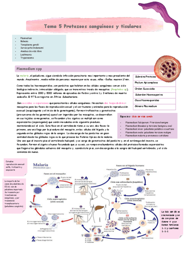 Miniatura del documento Tema-5.pdf