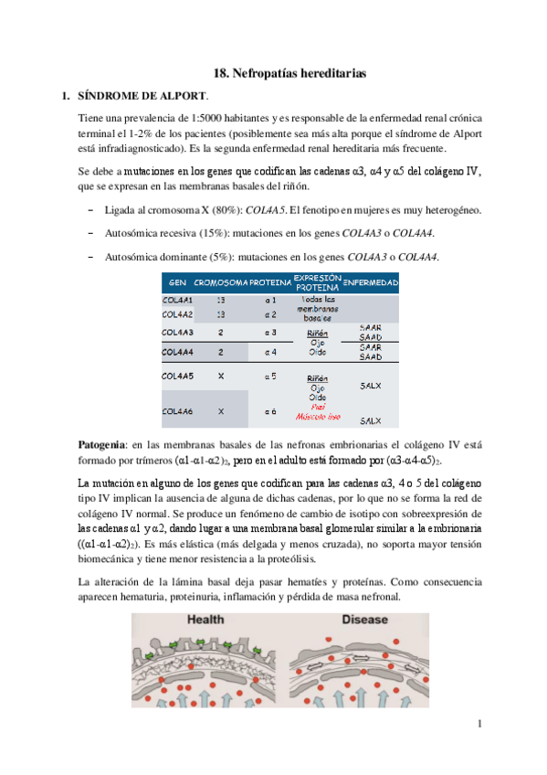 Miniatura del documento 18.-Nefropatias-hereditarias.pdf