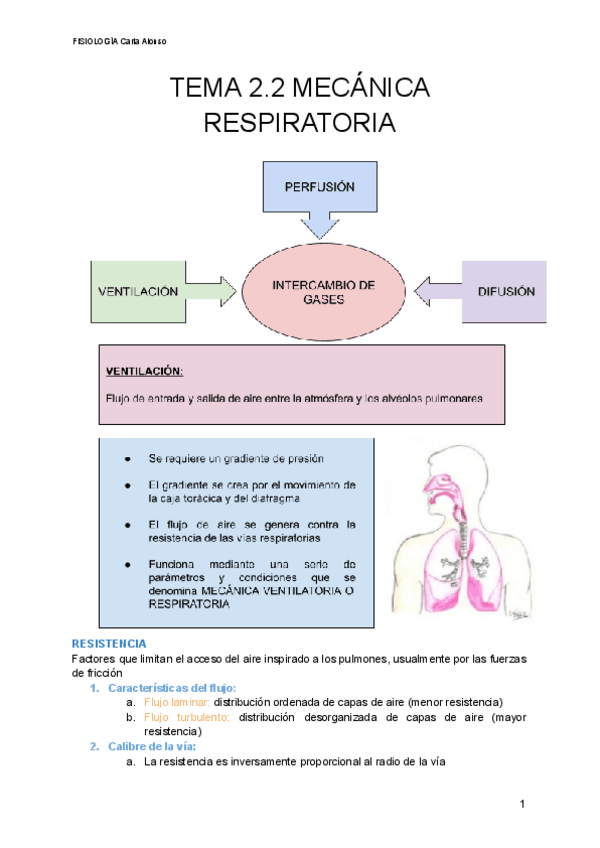 Miniatura del documento TEMA-2.2-MECANICA-RESPIRATORIA-1.pdf