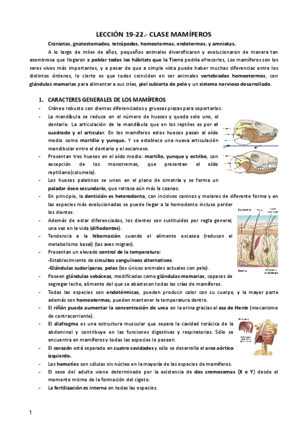 Miniatura del documento LECCION-19-22-ZOO.pdf