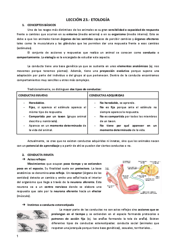 Miniatura del documento LECCION-23-ZOO.pdf