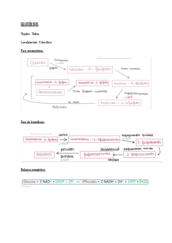 Miniatura del documento Reacciones-bioquimica.pdf