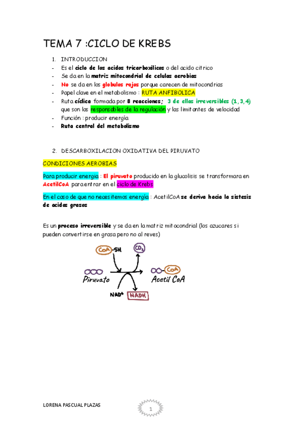 Miniatura del documento TEMA-7-ciclo-de-krebs.pdf