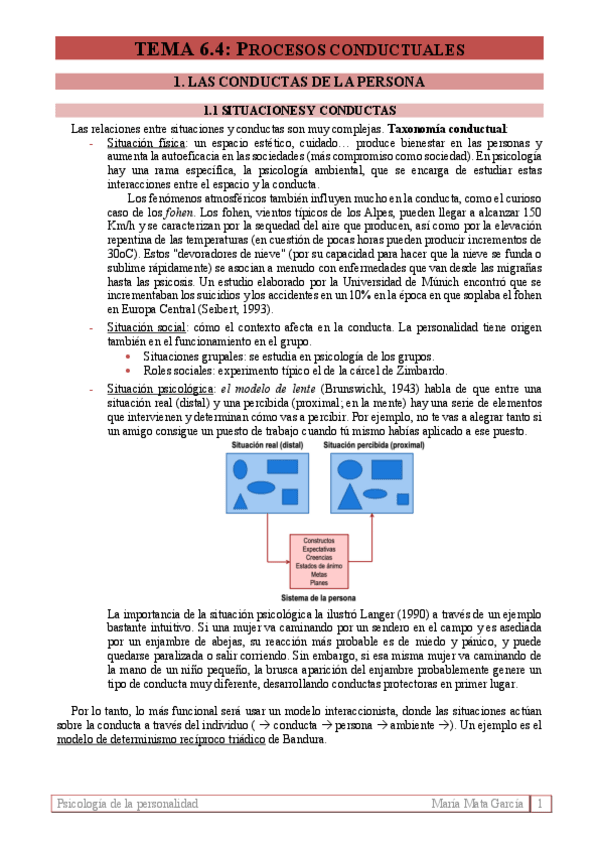 Miniatura del documento Tema 6.4. Procesos conductuales (P).pdf