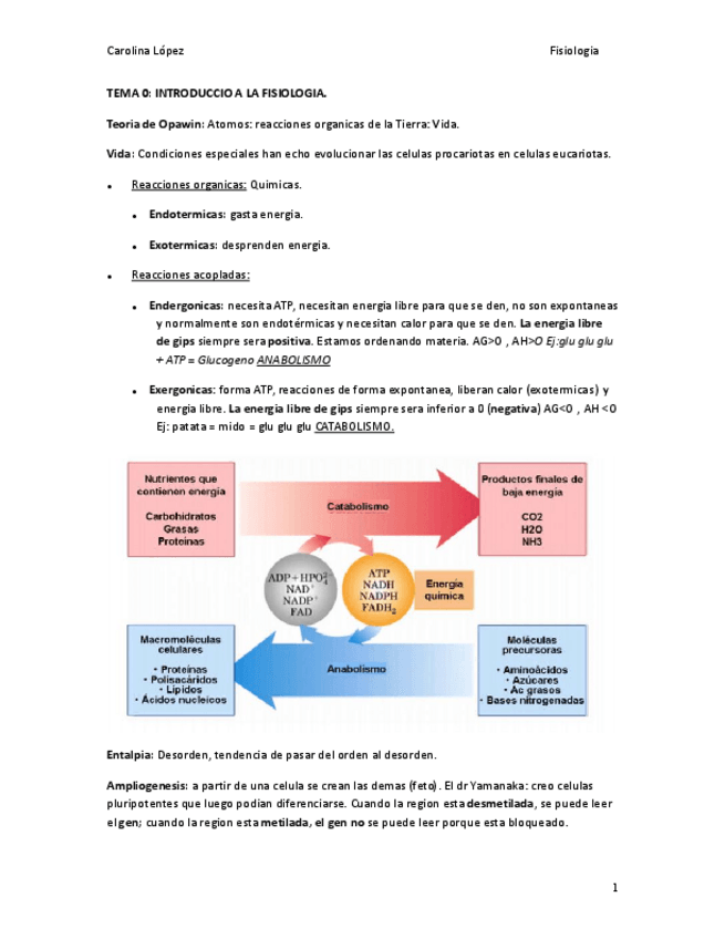 Miniatura del documento FISIOLOGIA 1ER QUATRI.pdf