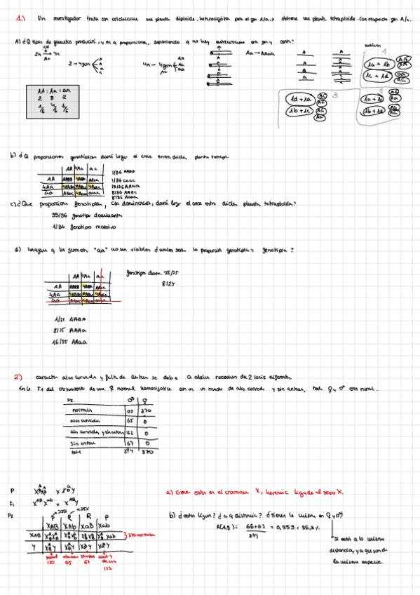 Miniatura del documento Correccion-Parcial-2-De-Genetica.pdf