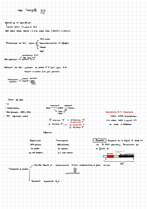 Miniatura del documento Genetica-2.pdf