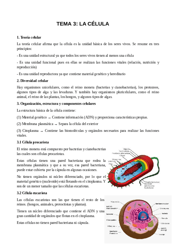 Miniatura del documento apuntes-celula.pdf