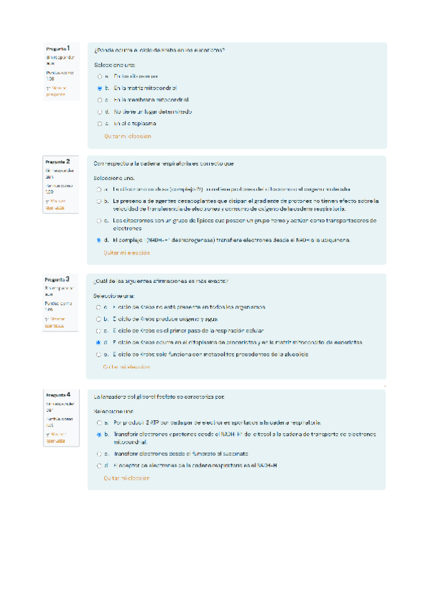 Miniatura del documento Cuestionario-Temas7y8.pdf