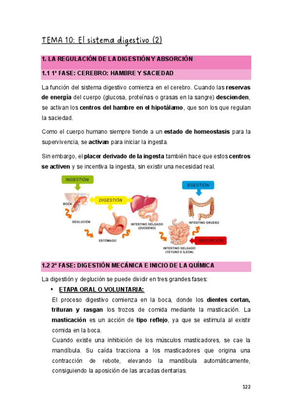 Miniatura del documento T.10-EYFCHII.pdf